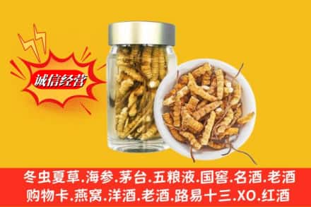 禄劝县回收散虫草