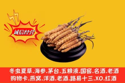 禄劝县求购回收虫草多少钱每克